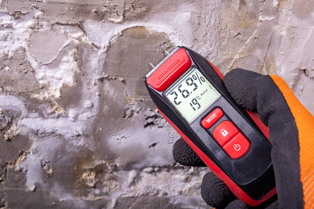 Certified Mold Removal in Waukee, IA