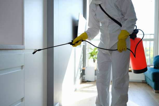 Best Crawl Space Mold Removal  in Waukee, IA