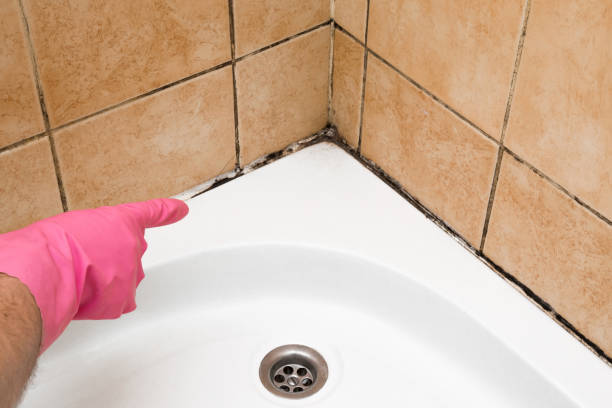 Best Mold Remediation  in Waukee, IA